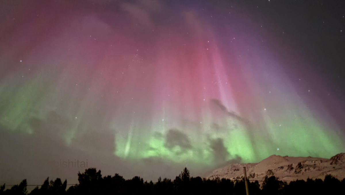 Aurora