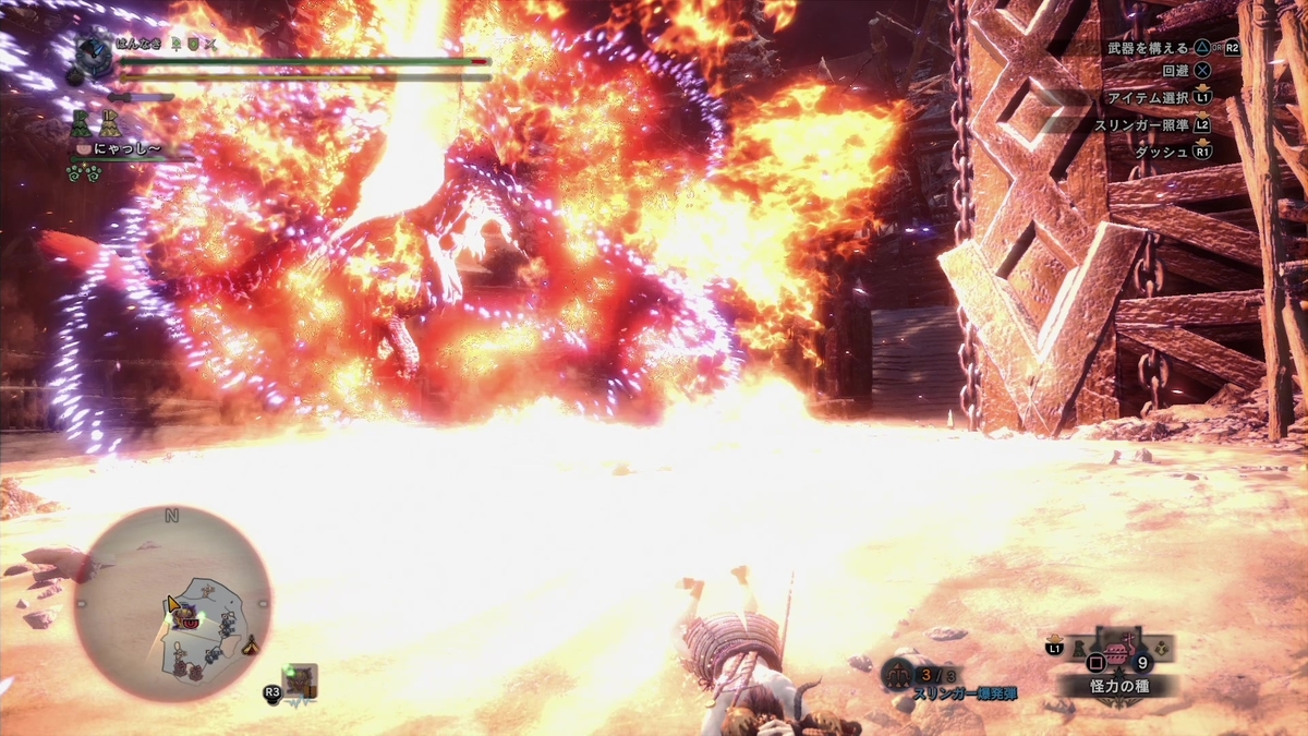 Monster Hunter World Iceborne Ps4版 真面目に狩りをしています 滅日 見た目は はんなきの日常
