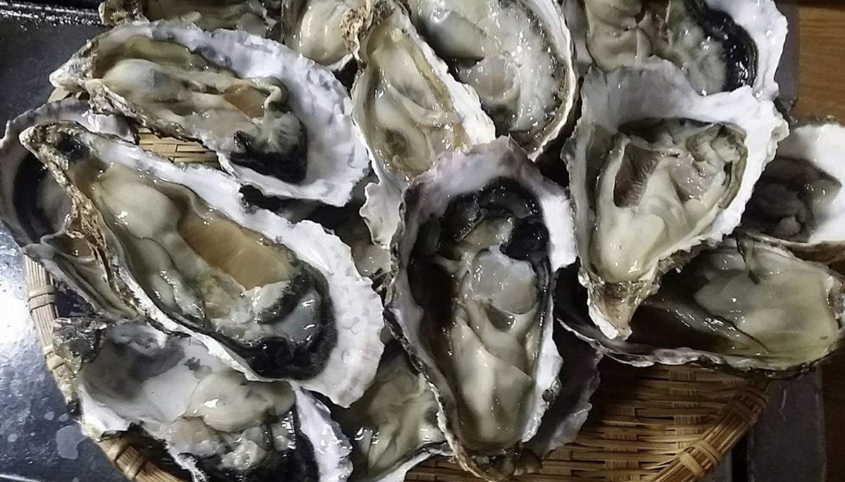 f:id:hannanlife:20190928171244j:plain f:id:hannanlife:20190928171244j:plain