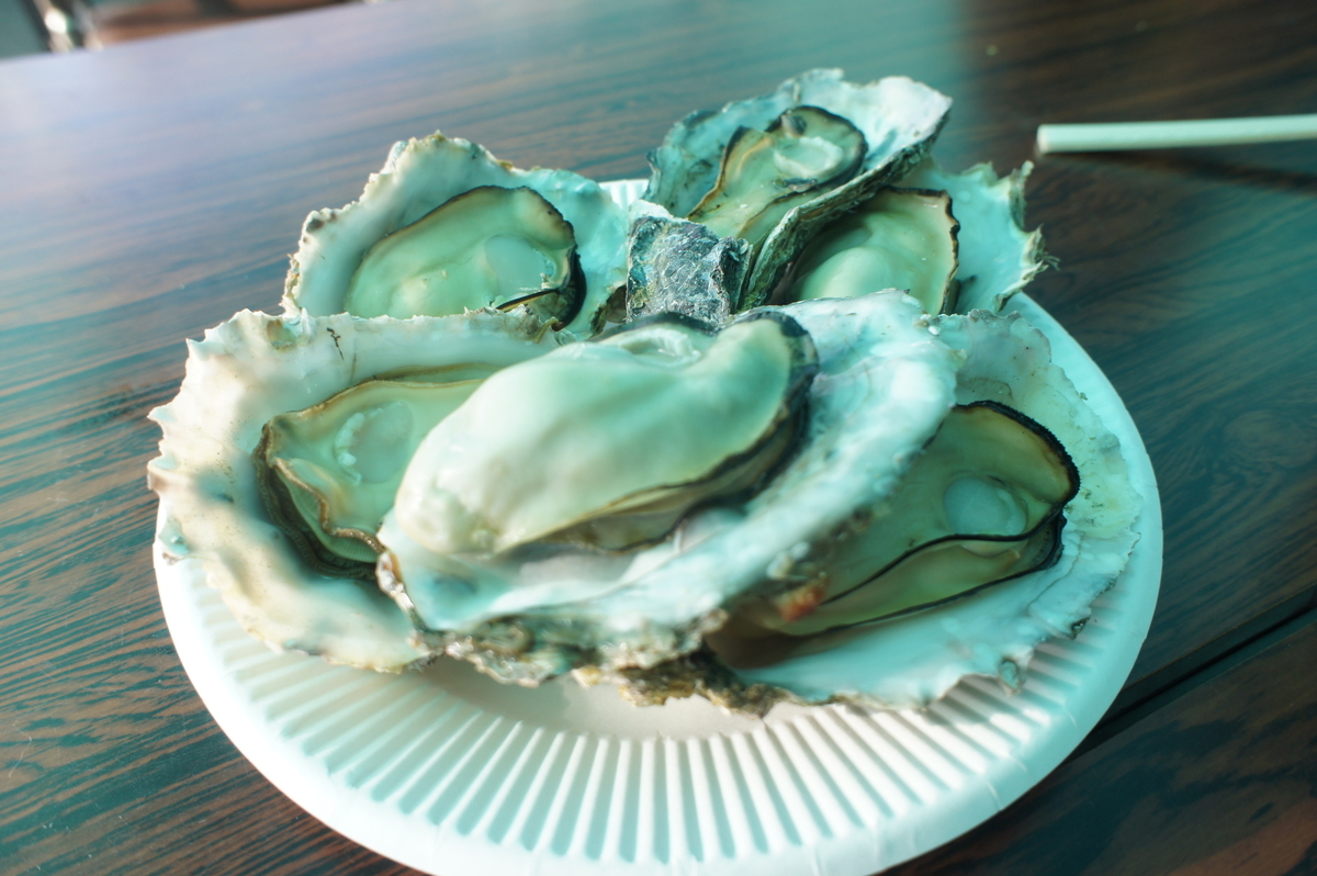 f:id:hannanlife:20190928175244j:plain f:id:hannanlife:20190928175244j:plain