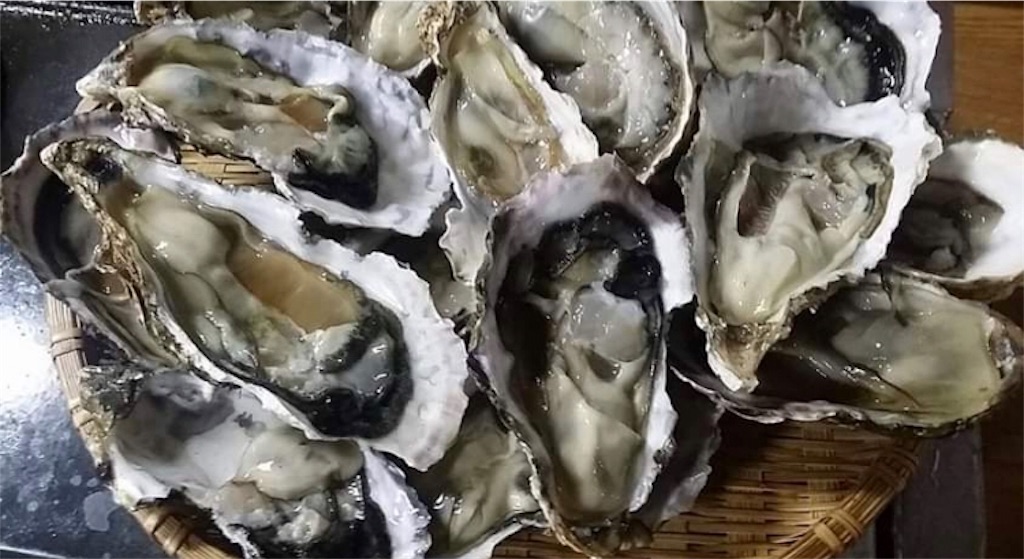 f:id:hannanlife:20191207105415j:image f:id:hannanlife:20191207105415j:image