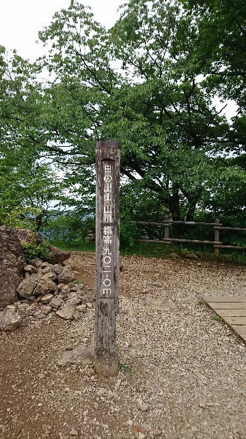 f:id:hannaribiyori3:20200630052047j:image f:id:hannaribiyori3:20200630052047j:image