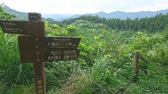 f:id:hannaribiyori3:20200630053427j:image f:id:hannaribiyori3:20200630053427j:image