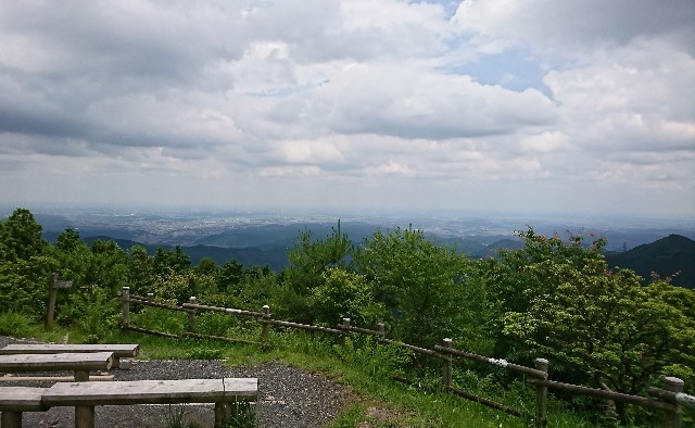 f:id:hannaribiyori3:20200630060826j:image f:id:hannaribiyori3:20200630060826j:image