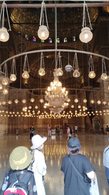 f:id:hannaribiyori3:20240526201902j:image f:id:hannaribiyori3:20240526201902j:image