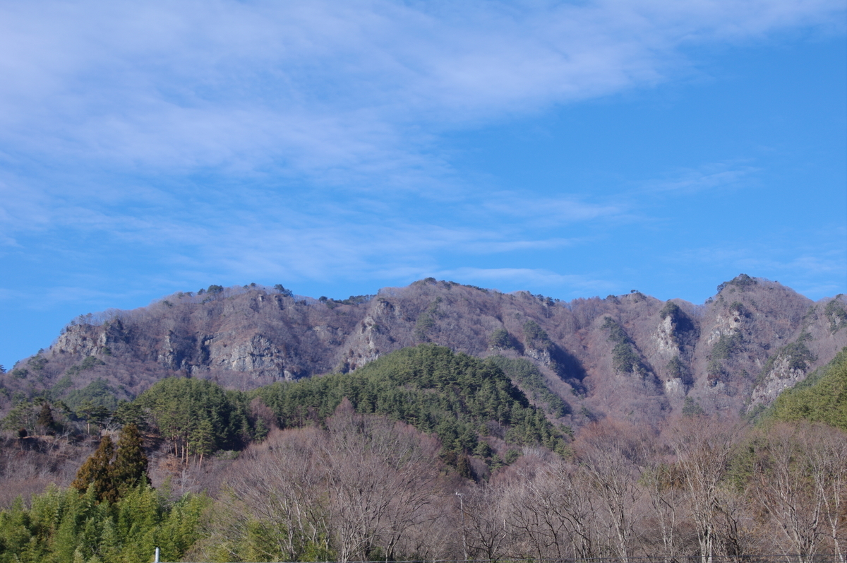 f:id:hannekodayo:20191230072248j:plain f:id:hannekodayo:20191230072248j:plain