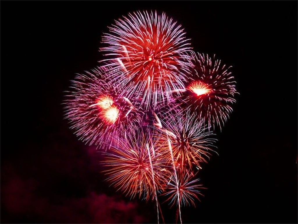 夜空に咲く花 幸せ 毎日生活 Enjoylife 夜空に咲く花 幸せ 毎日生活 Enjoylife
