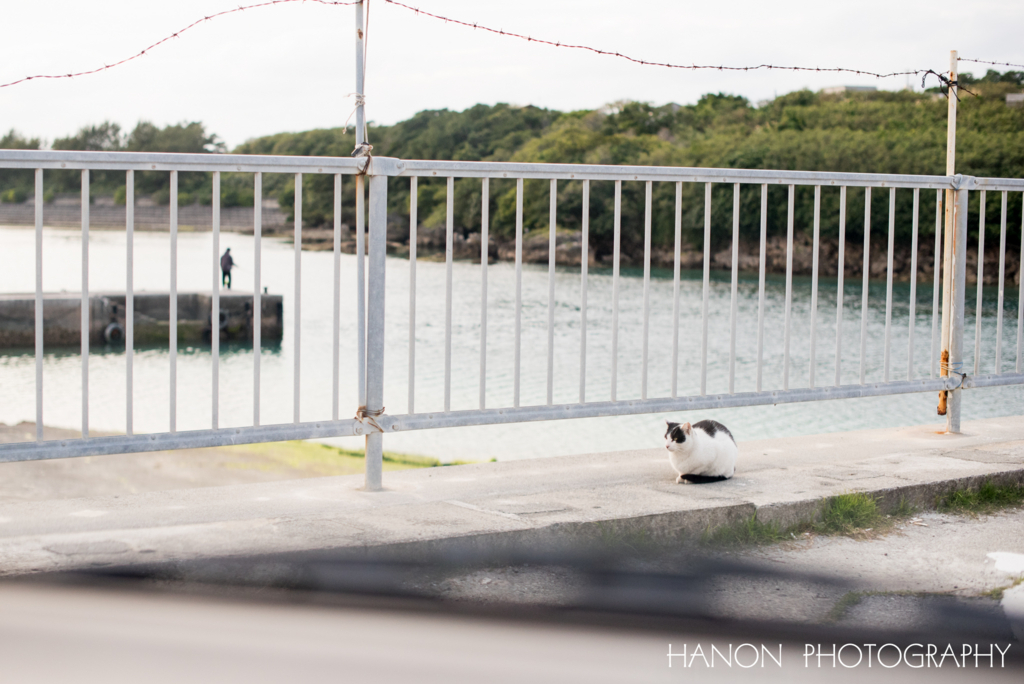 f:id:hanon8787:20180209211940j:plain f:id:hanon8787:20180209211940j:plain