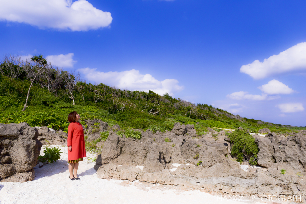 f:id:hanon8787:20180316190248j:plain f:id:hanon8787:20180316190248j:plain