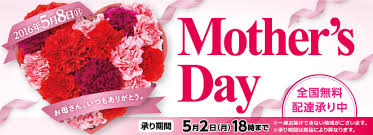 f:id:hansoku365:20161130135305p:plain f:id:hansoku365:20161130135305p:plain