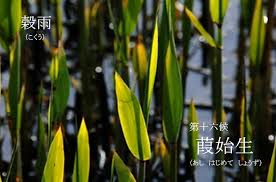 f:id:hansoku365:20170419175916p:plain f:id:hansoku365:20170419175916p:plain