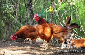 f:id:hansoku365:20180130104945p:plain f:id:hansoku365:20180130104945p:plain