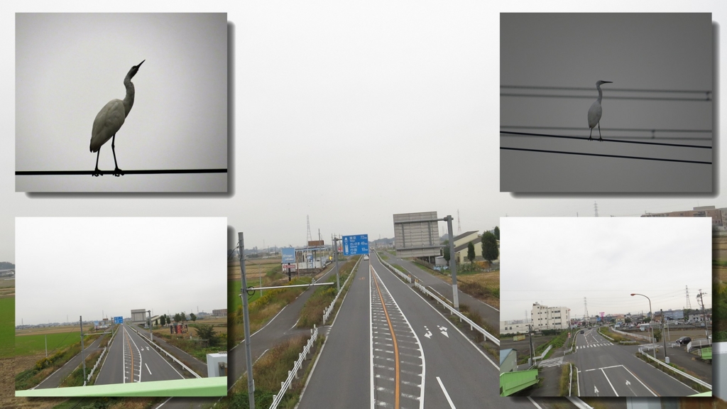 f:id:hansui:20161026090811j:plain f:id:hansui:20161026090811j:plain