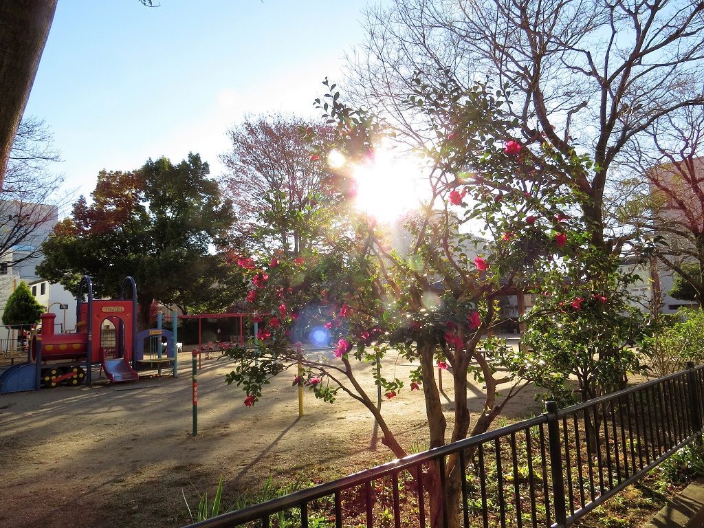 f:id:hansui:20161204200658j:plain f:id:hansui:20161204200658j:plain