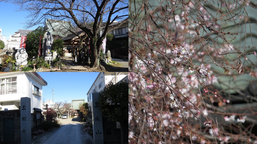 f:id:hansui:20161205100143j:plain f:id:hansui:20161205100143j:plain