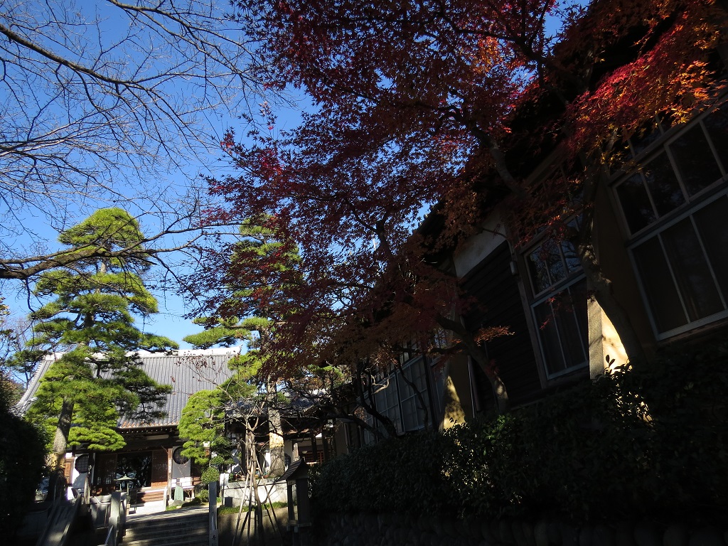 f:id:hansui:20161205174539j:plain f:id:hansui:20161205174539j:plain