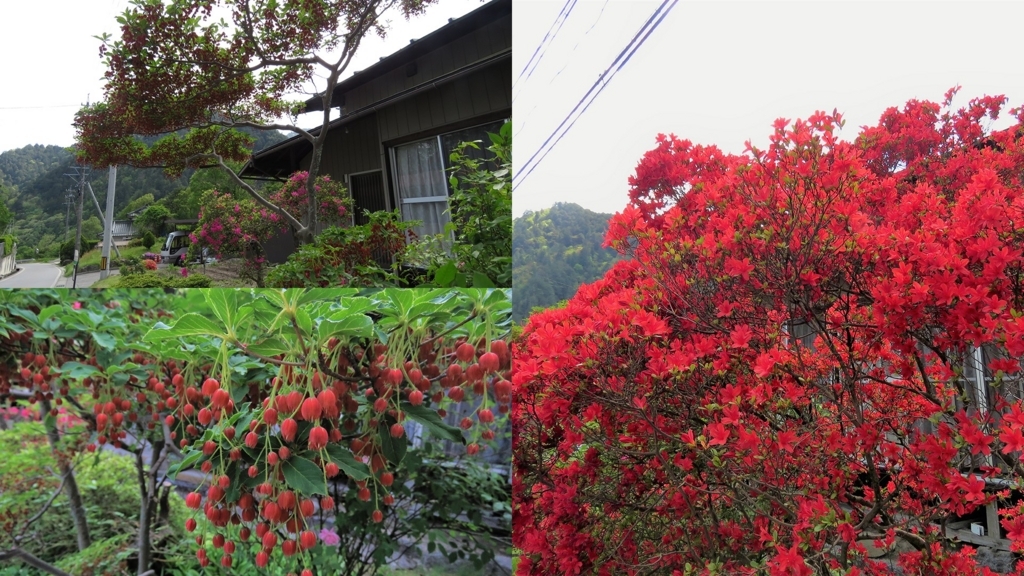 f:id:hansui:20180512184639j:plain