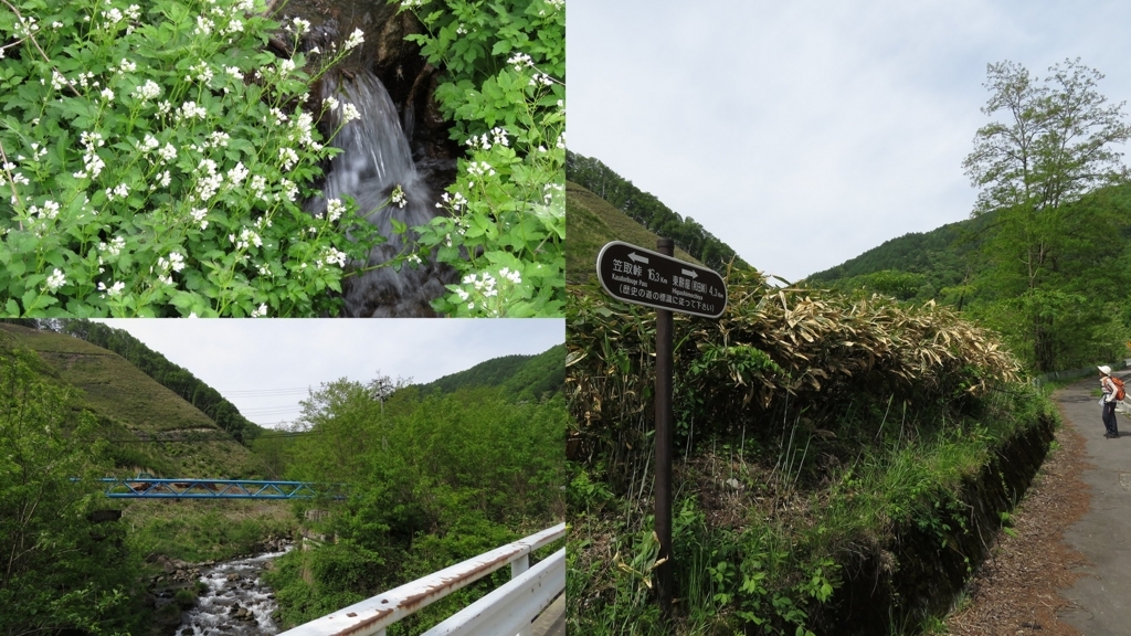 f:id:hansui:20180527150517j:plain