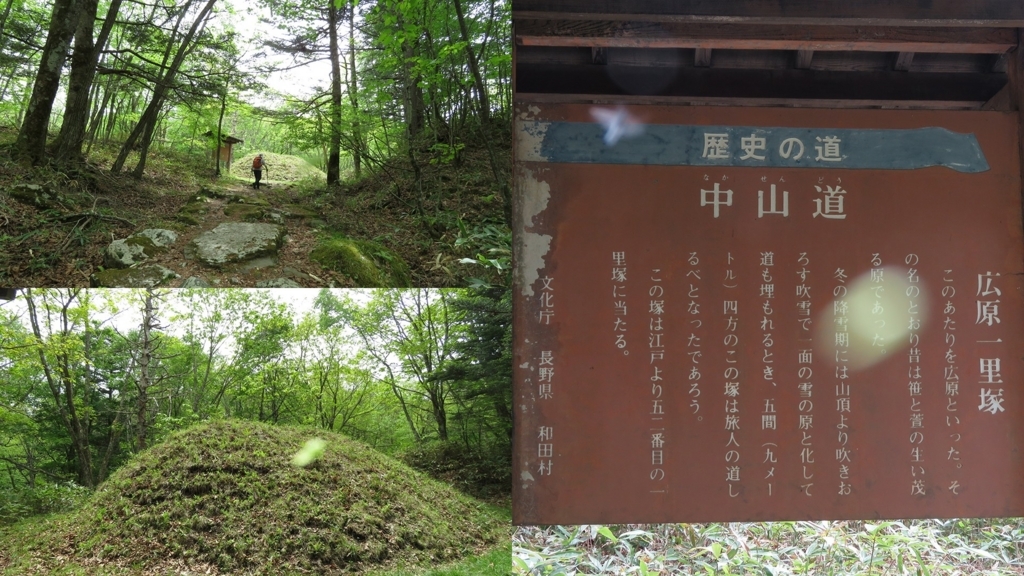 f:id:hansui:20180527173355j:plain