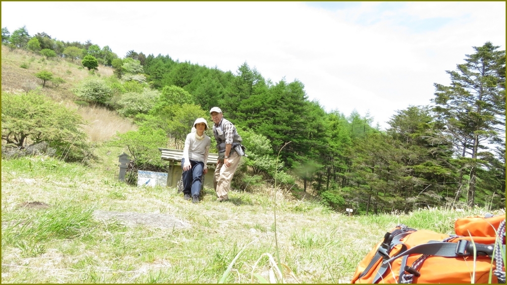 f:id:hansui:20180527214905j:plain