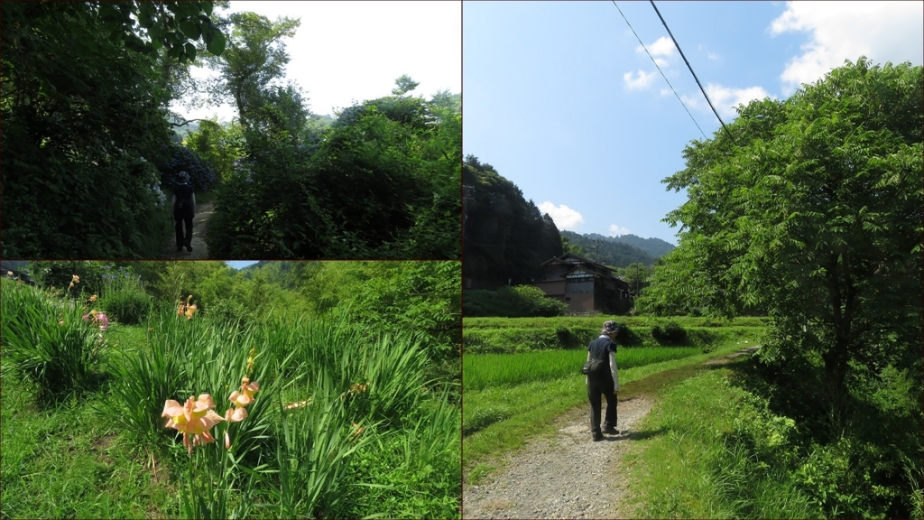 f:id:hansui:20180731115852j:plain