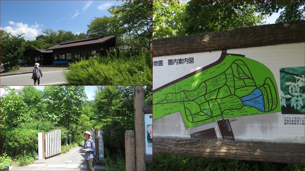 f:id:hansui:20180808202754j:plain f:id:hansui:20180808202754j:plain