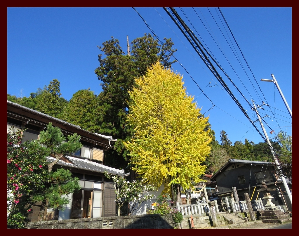 f:id:hansui:20181112094104j:plain