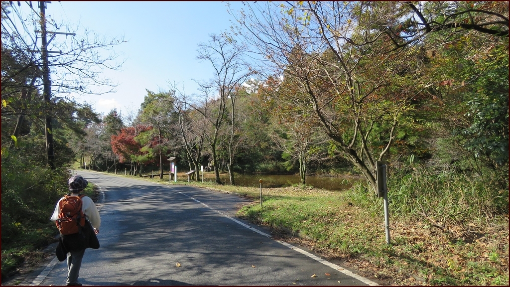f:id:hansui:20181113053424j:plain