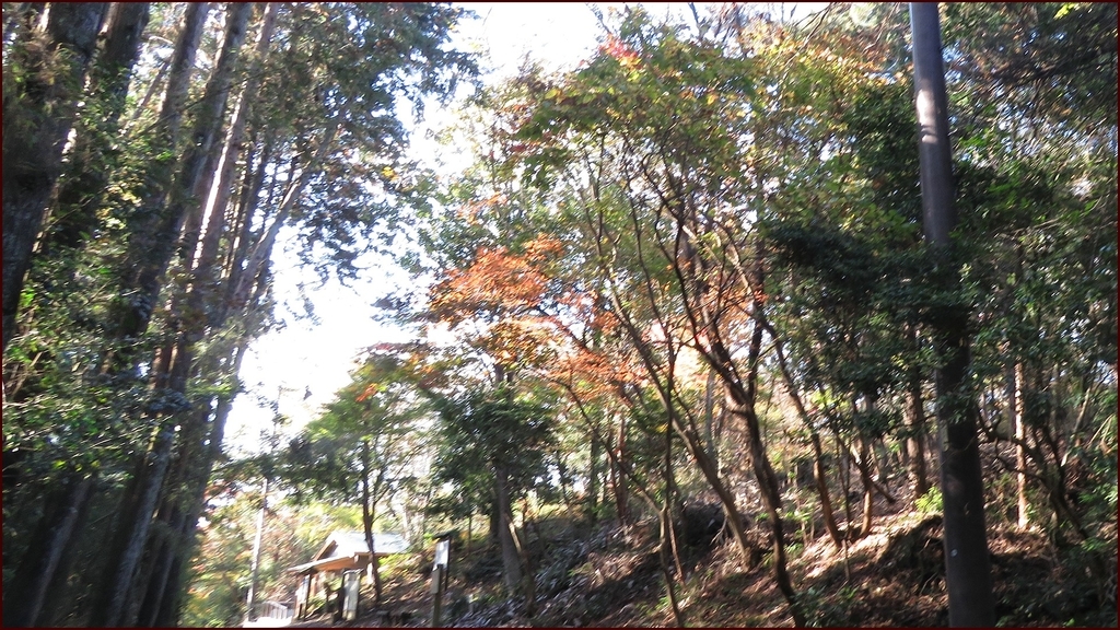 f:id:hansui:20181117134935j:plain