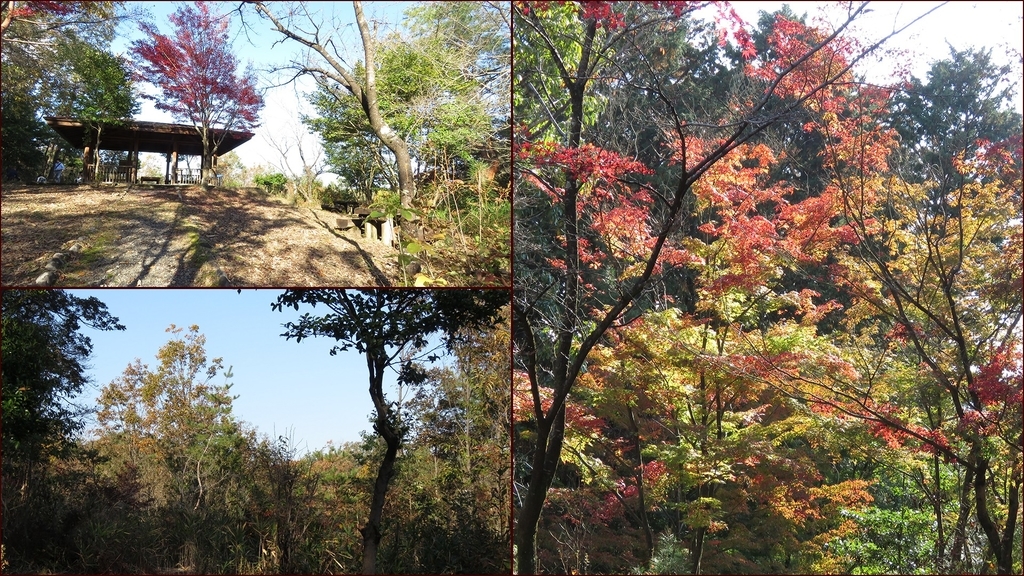 f:id:hansui:20181117142036j:plain f:id:hansui:20181117142036j:plain