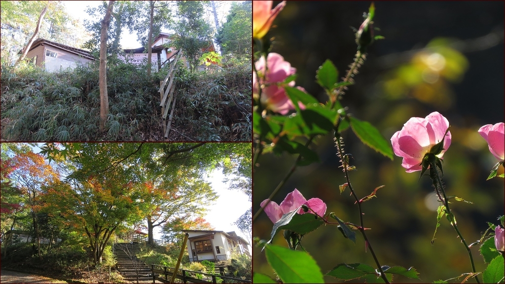 f:id:hansui:20181117183913j:plain f:id:hansui:20181117183913j:plain