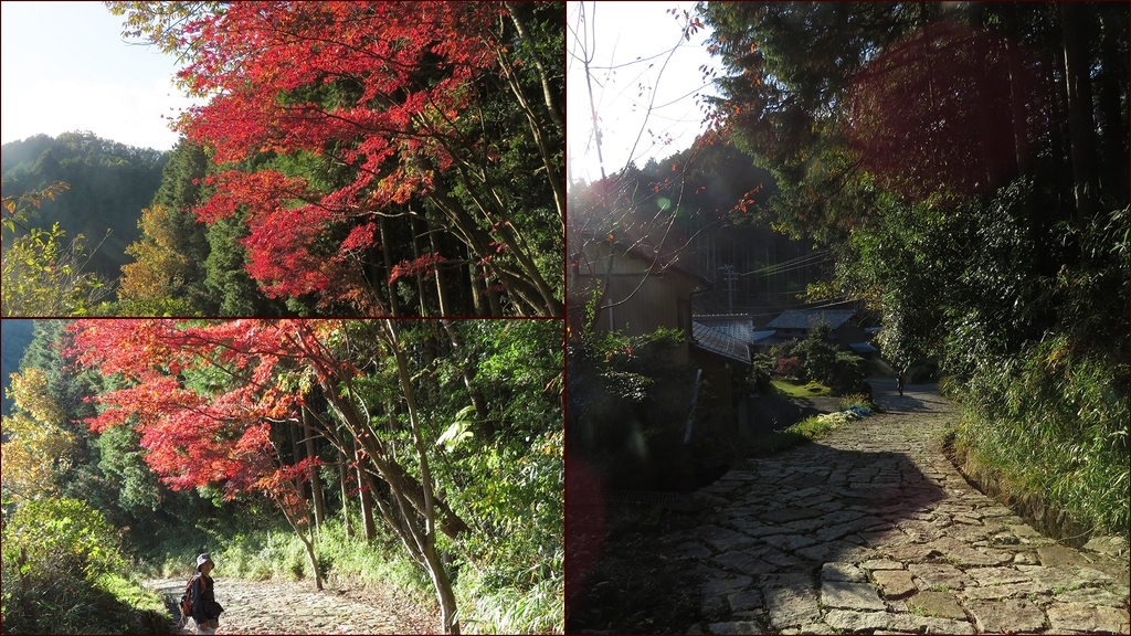 f:id:hansui:20181118111945j:plain f:id:hansui:20181118111945j:plain