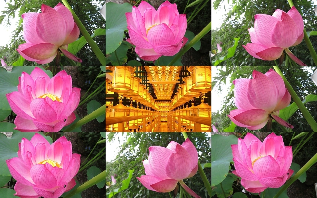 f:id:hansui:20190214203928j:plain f:id:hansui:20190214203928j:plain