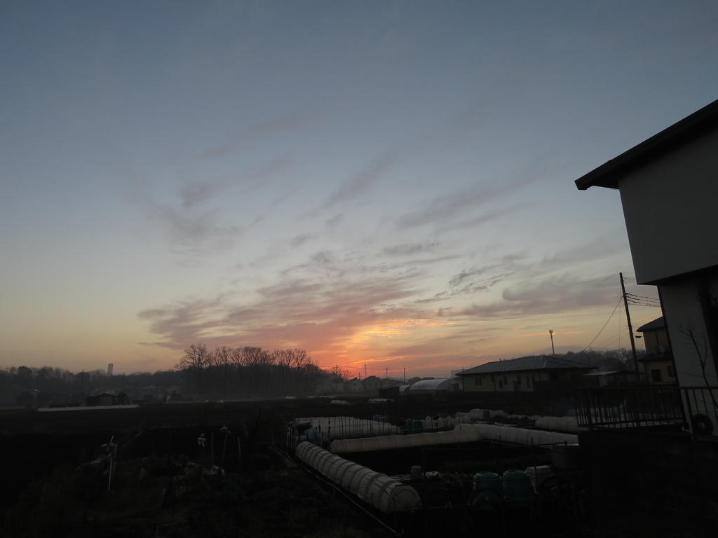 f:id:hansui:20190220164815j:plain