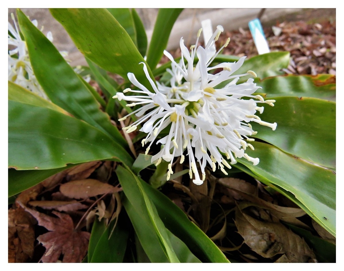 f:id:hansui:20190318184252j:plain f:id:hansui:20190318184252j:plain