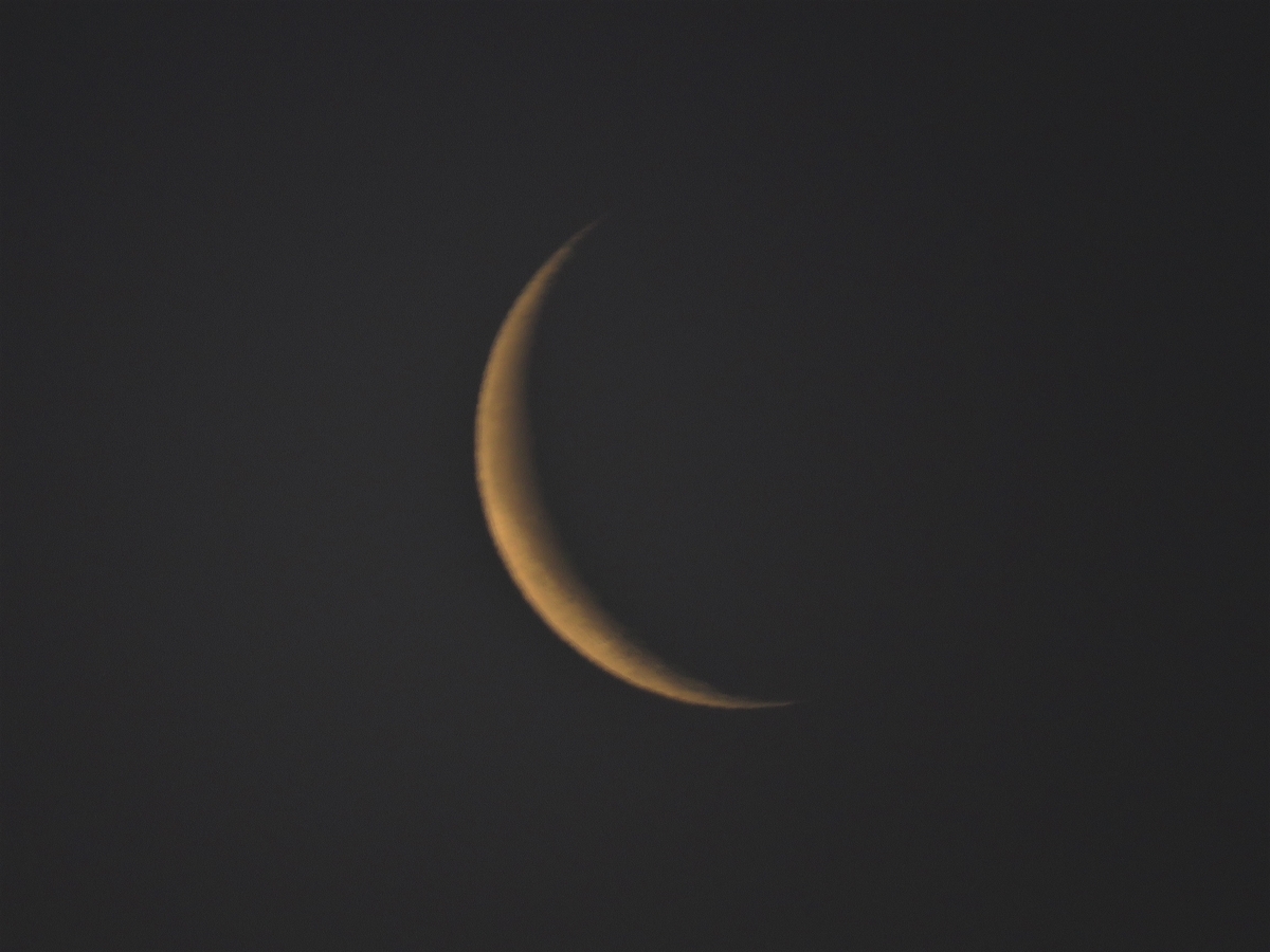 f:id:hansui:20190402121807j:plain