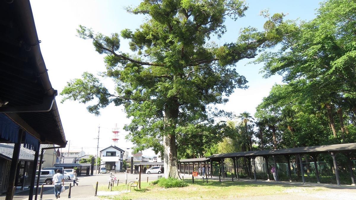 f:id:hansui:20190603052125j:plain f:id:hansui:20190603052125j:plain