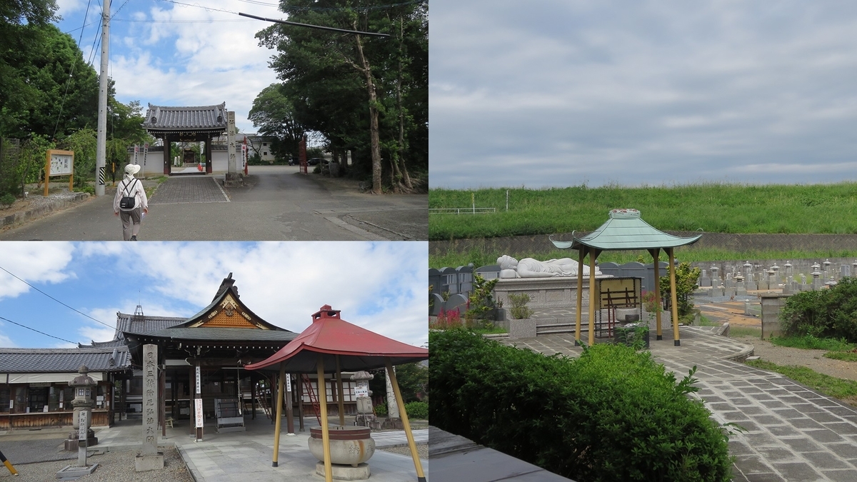 f:id:hansui:20190918205114j:plain