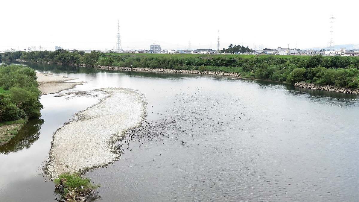 f:id:hansui:20190919100355j:plain