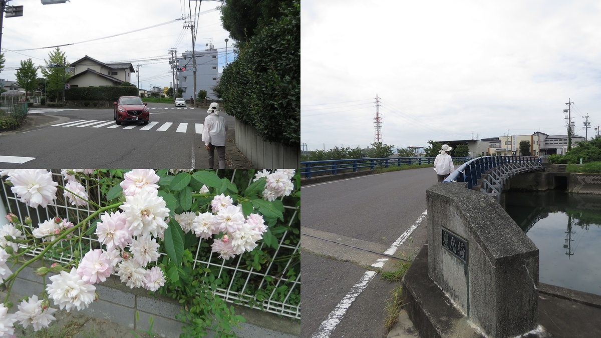 f:id:hansui:20190919122301j:plain