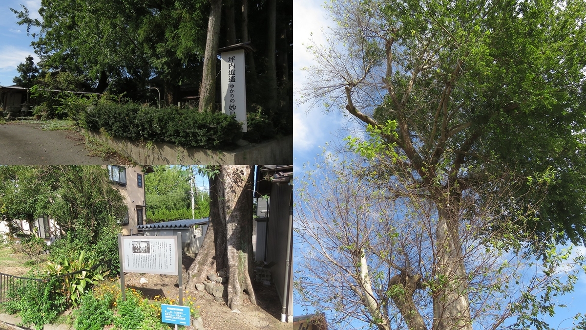 f:id:hansui:20191009044445j:plain