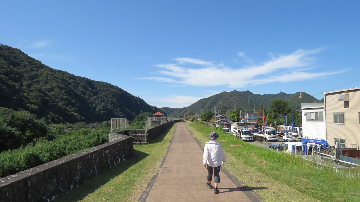 f:id:hansui:20191009142440j:plain