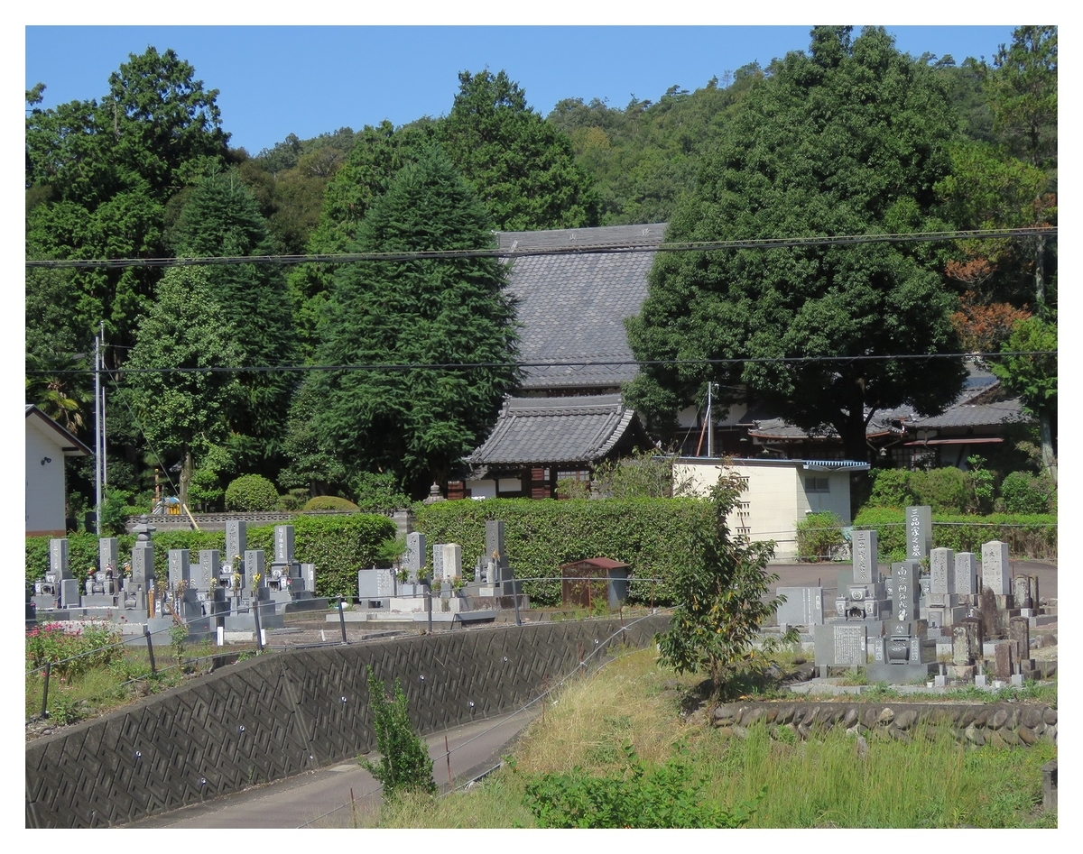 f:id:hansui:20191009153840j:plain