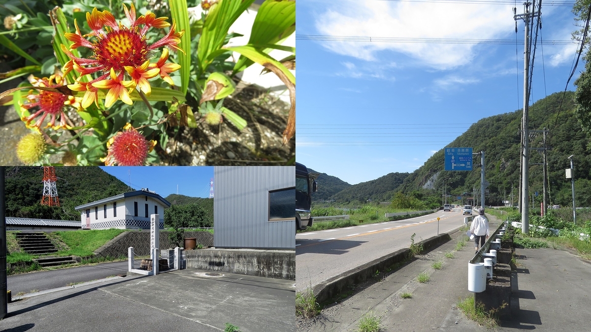 f:id:hansui:20191009163028j:plain