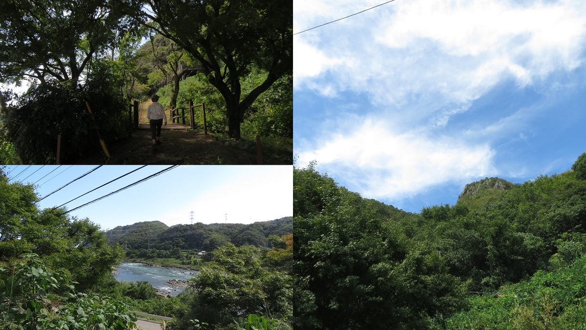 f:id:hansui:20191009171200j:plain