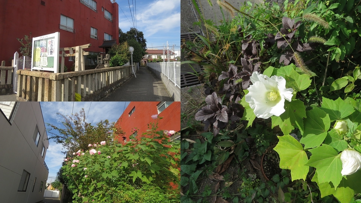 f:id:hansui:20191018155239j:plain f:id:hansui:20191018155239j:plain
