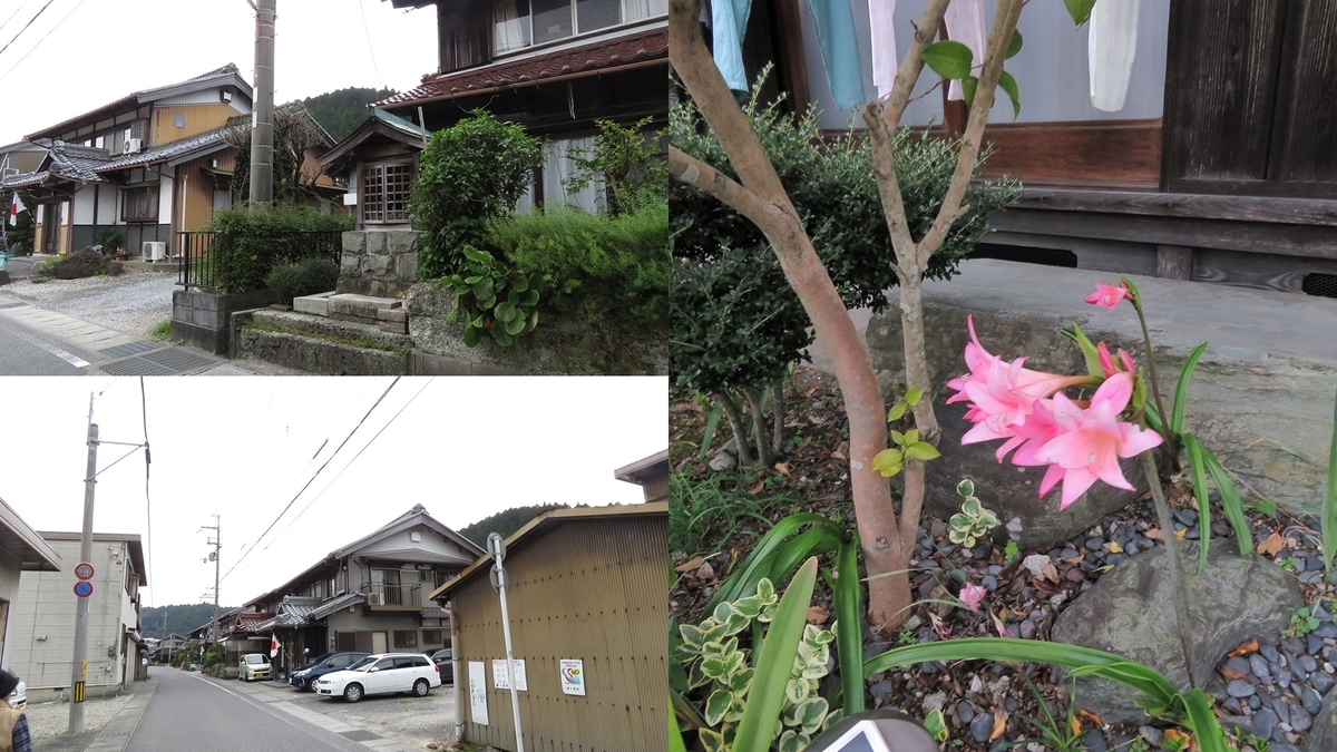 f:id:hansui:20191111120022j:plain f:id:hansui:20191111120022j:plain