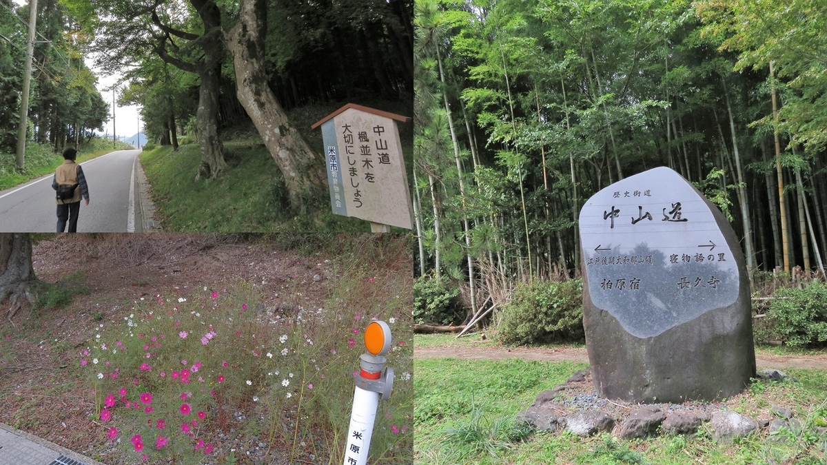 f:id:hansui:20191111190503j:plain f:id:hansui:20191111190503j:plain