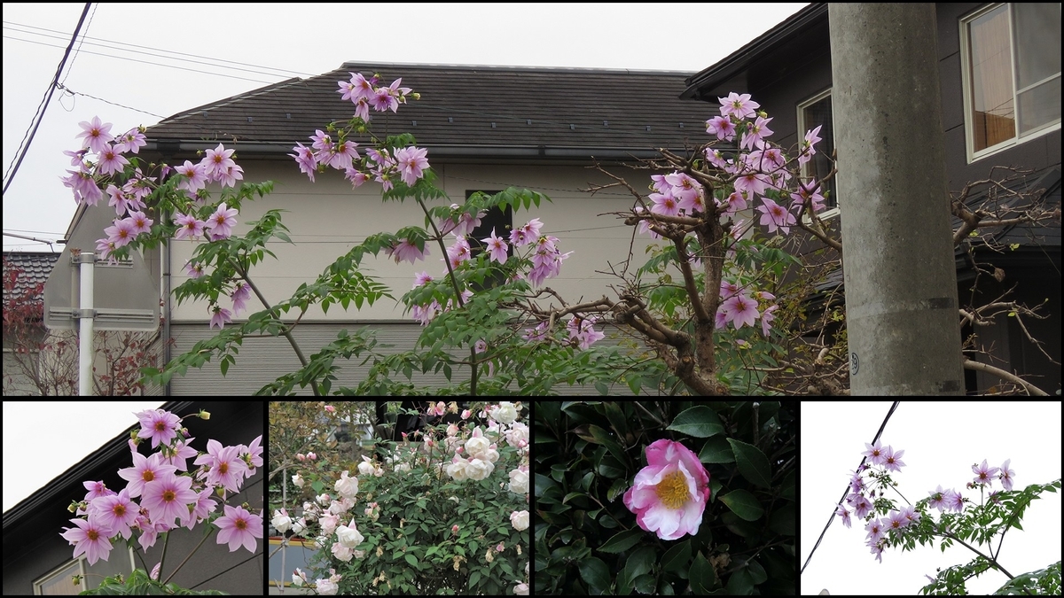 f:id:hansui:20191211155221j:plain f:id:hansui:20191211155221j:plain