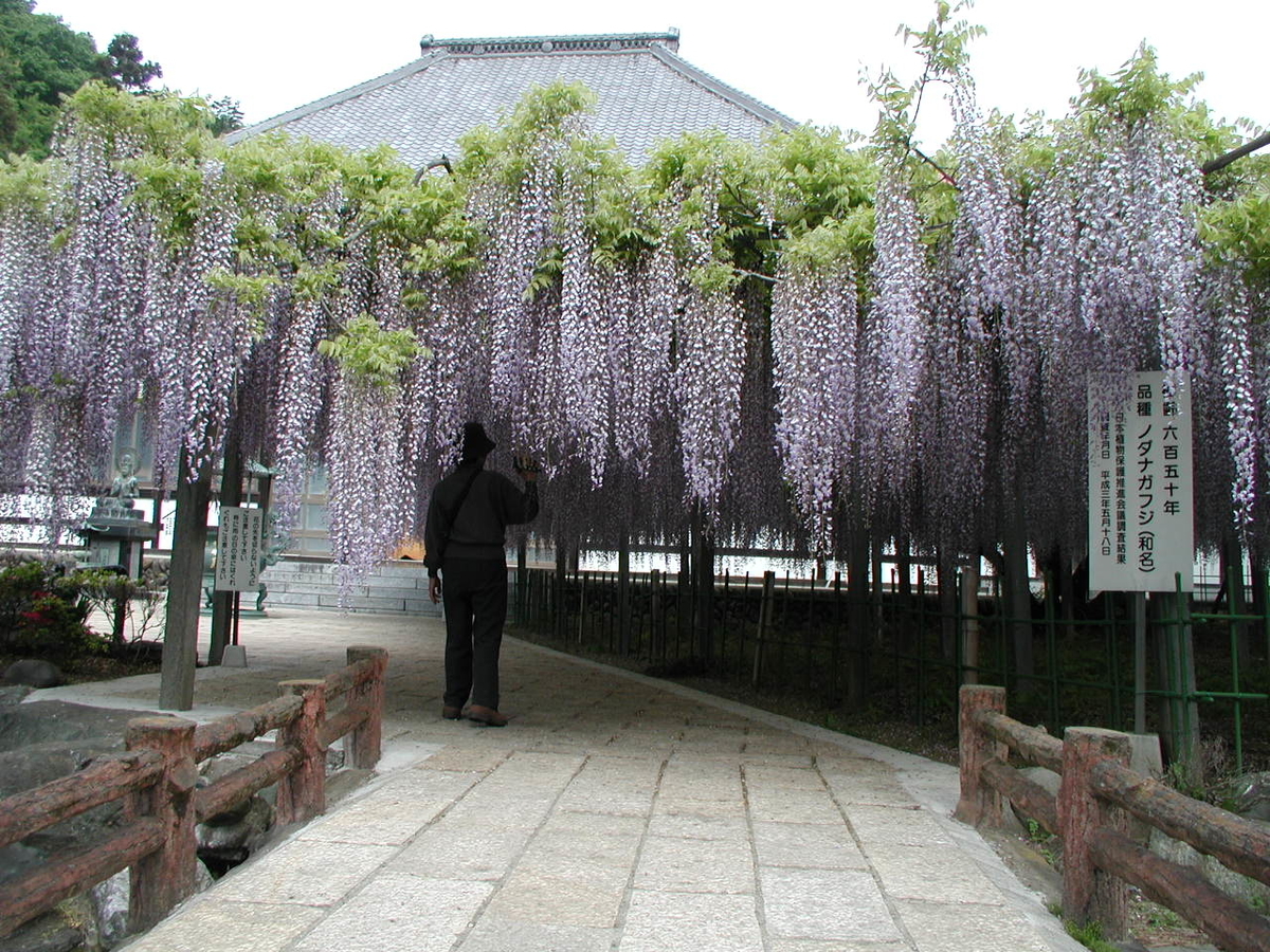f:id:hansui:20200401041318j:plain f:id:hansui:20200401041318j:plain